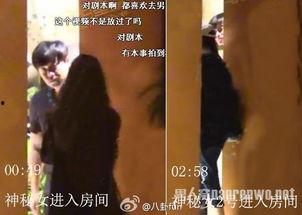 娱乐圈吃瓜爆料陈思诚,揭秘背后的真相与争议